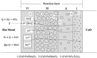 A Review of Multi-phase Slag Refining for Dephosphorization in the Steelmaking Process